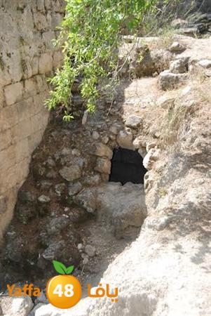 re7la 3emwas 0517 (28).jpg